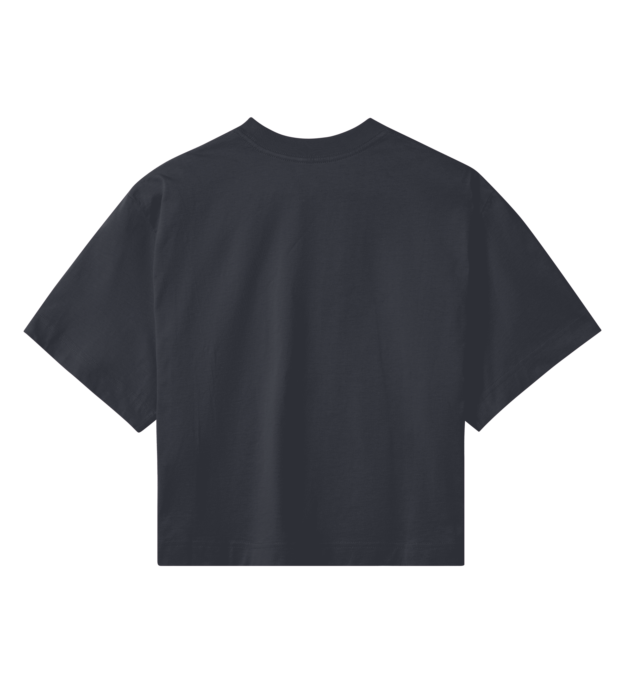 Premium Crop Top (Women)