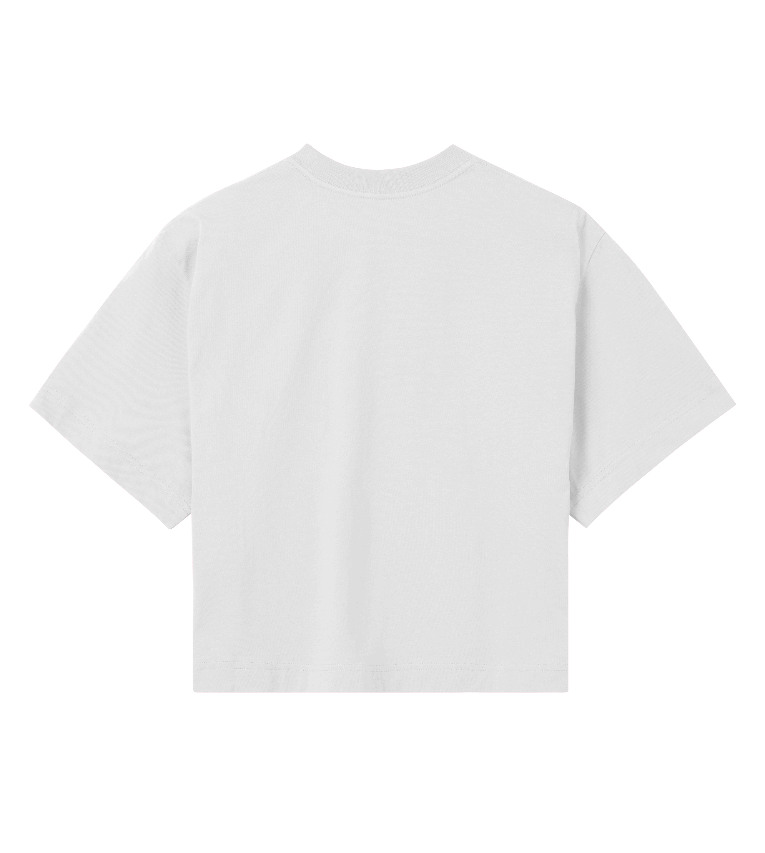 Premium Crop Top (Women)